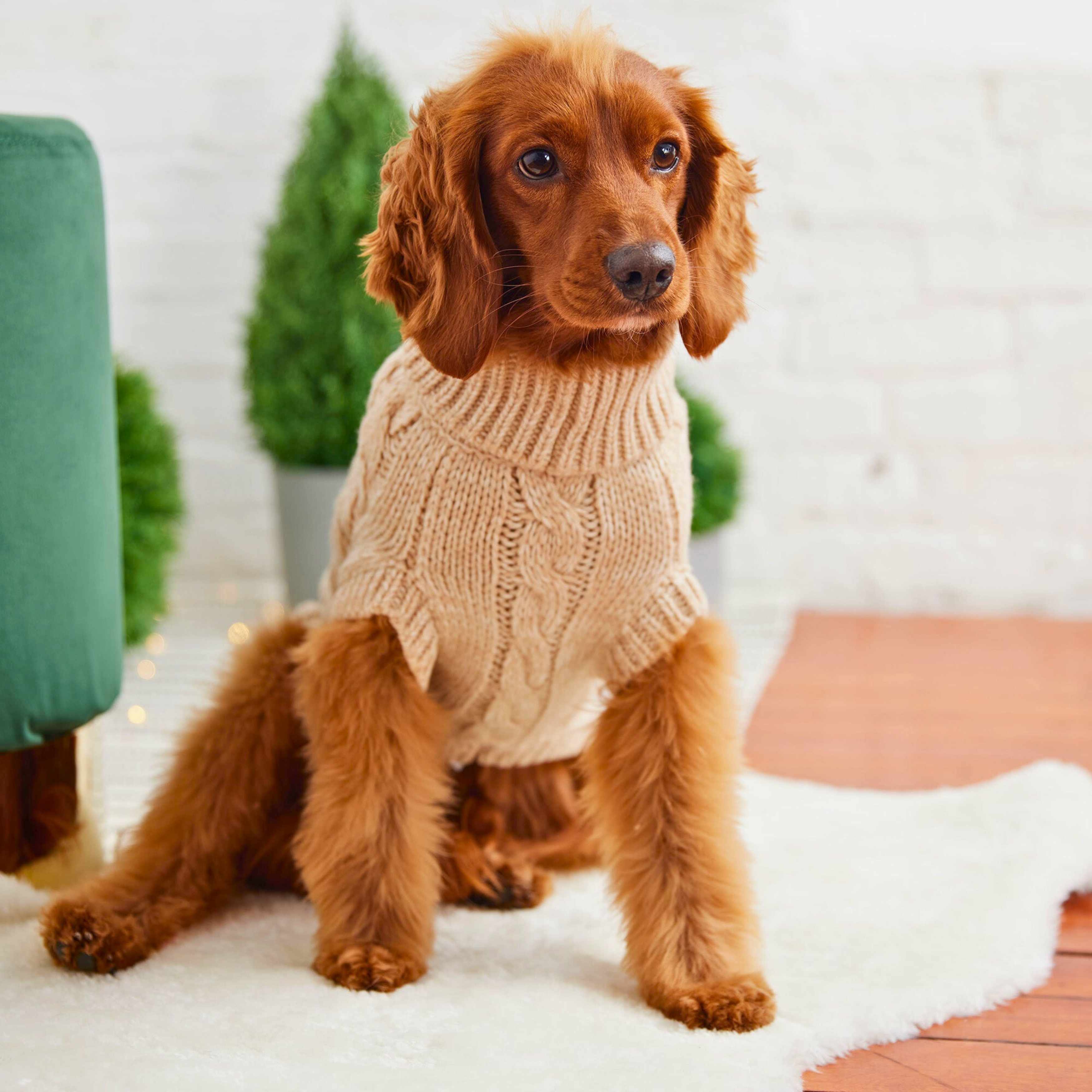 Chalet Dog Sweater - Oatmeal