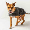 Dog Blanket Jacket - Black