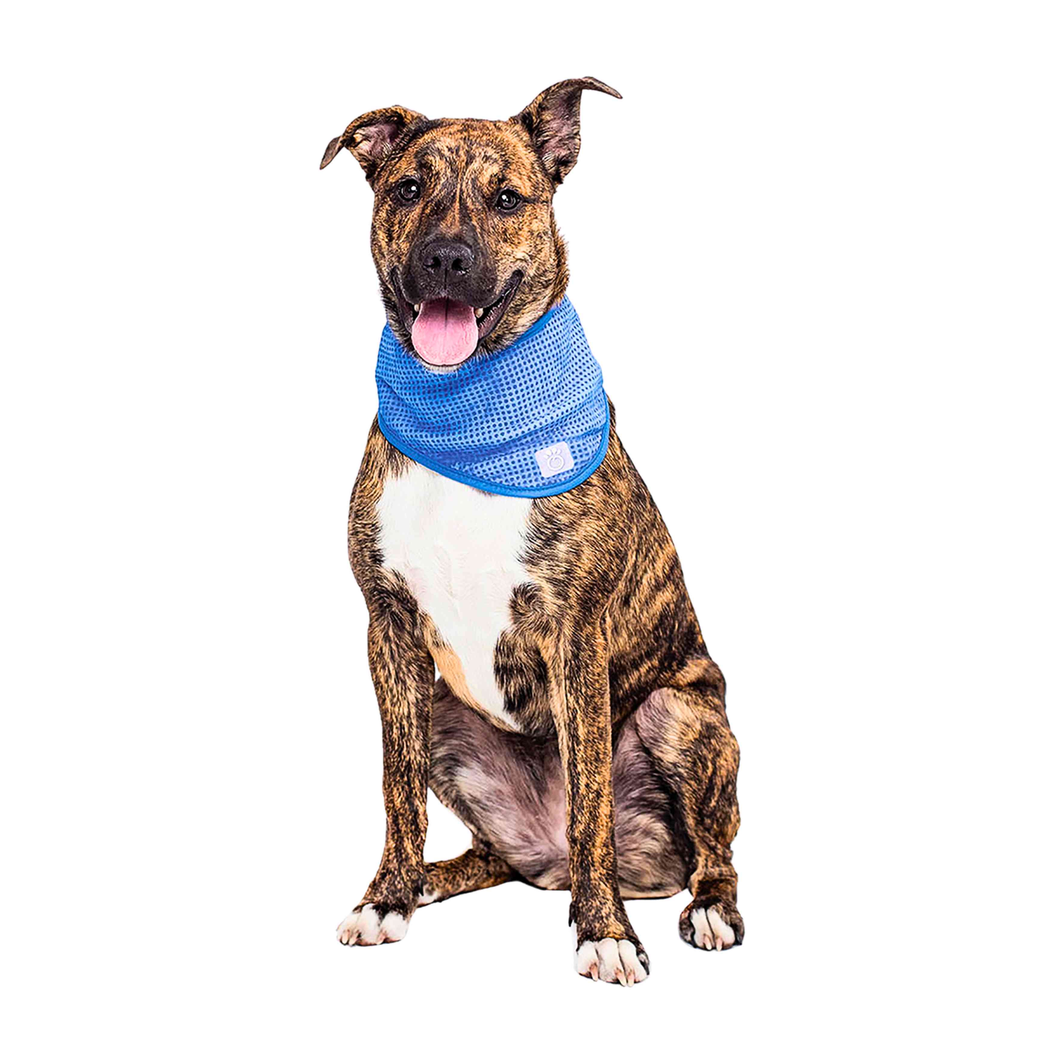 Ice Band - Dog Cooling Scarf