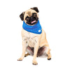 Ice Band - Dog Cooling Scarf