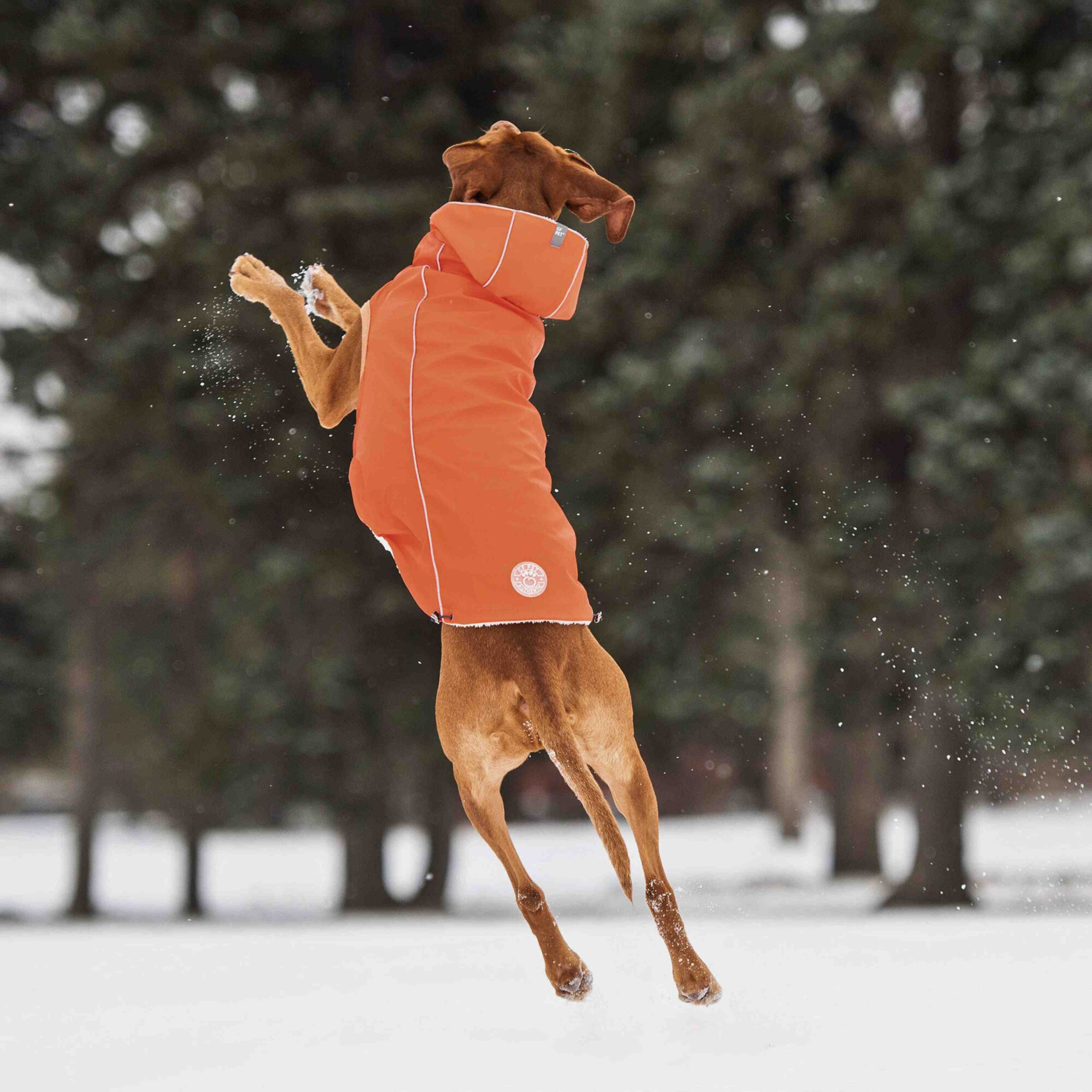 Insulated Raincoat - Orange