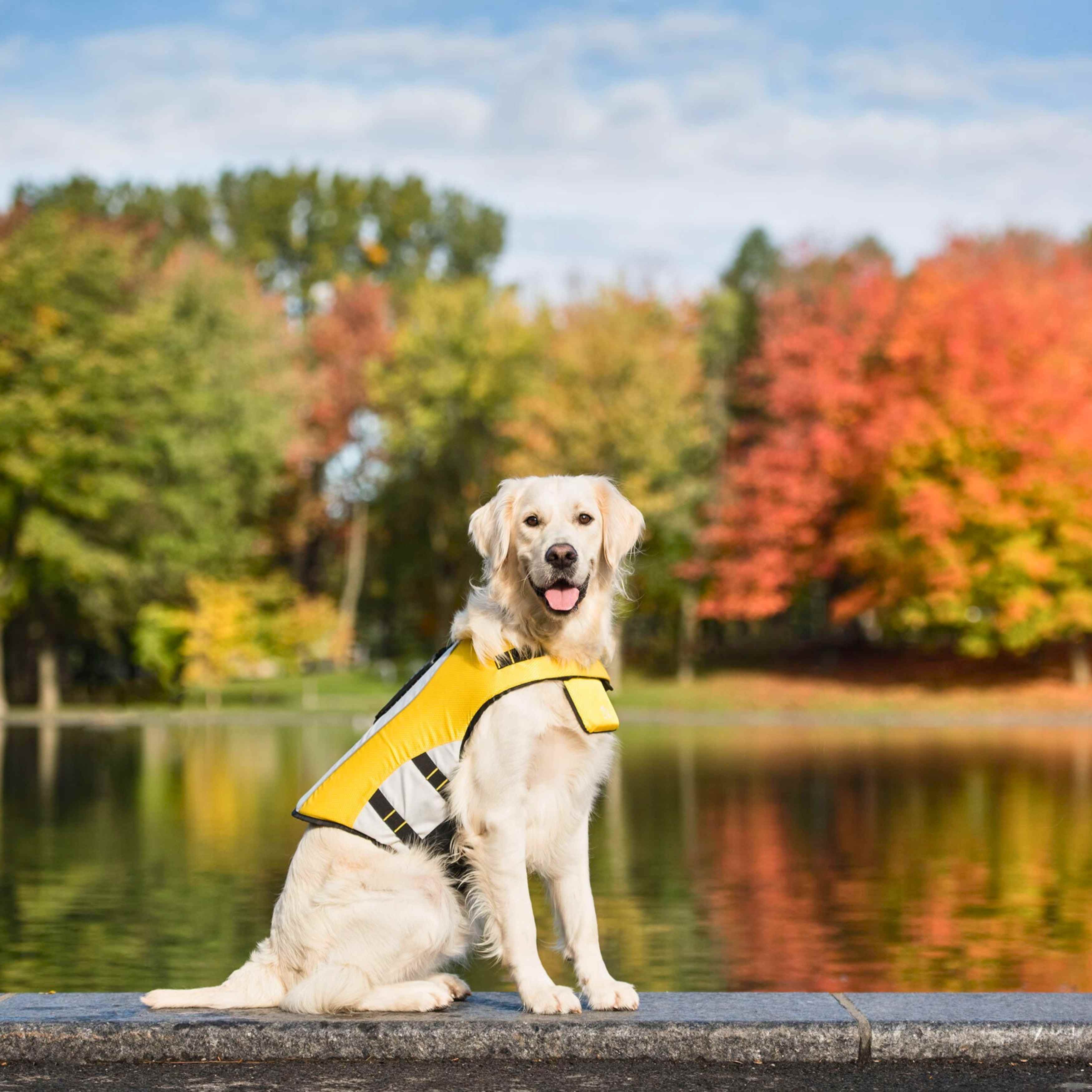 Life Vest - Dog Life Jacket