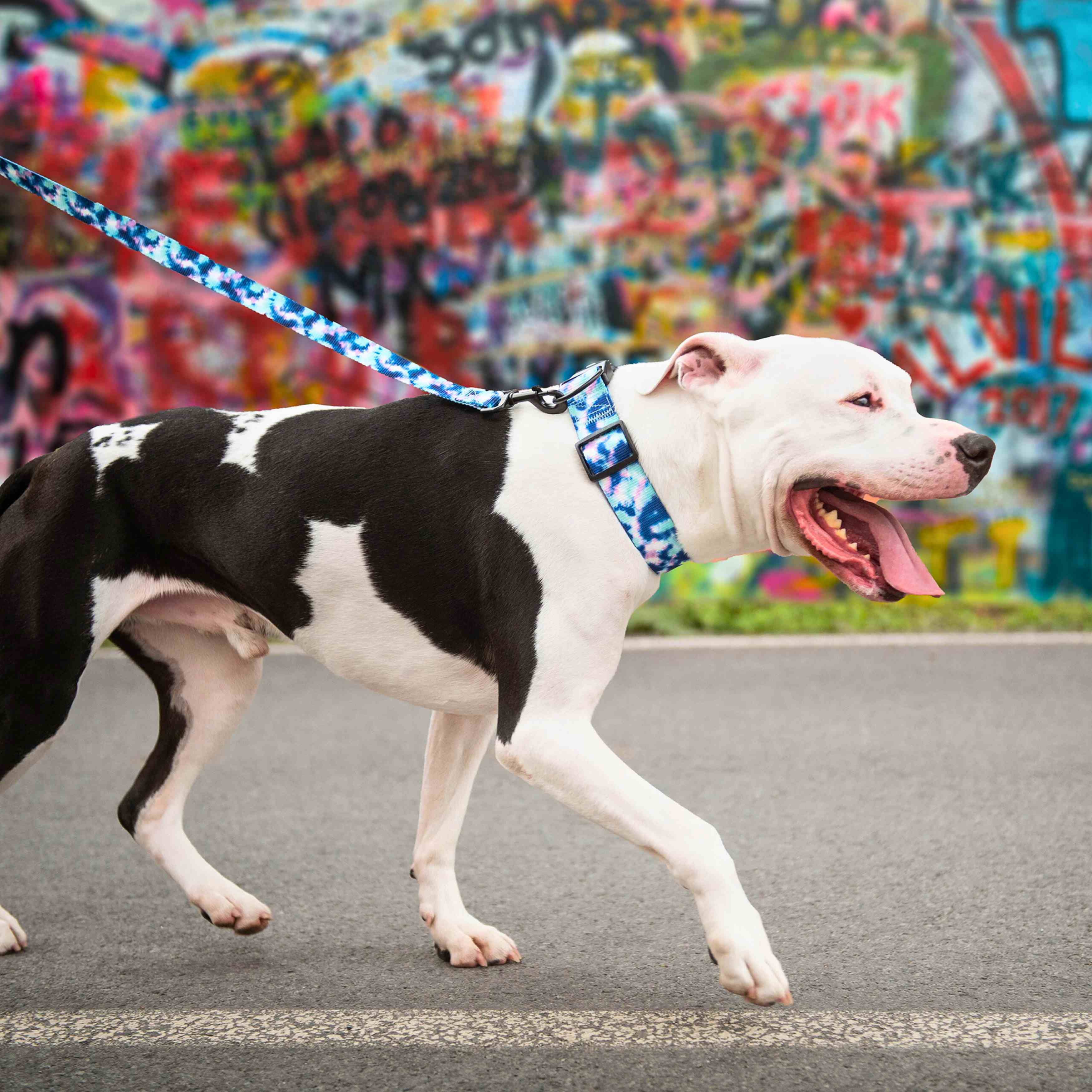 Printed Leash - Tie Dye