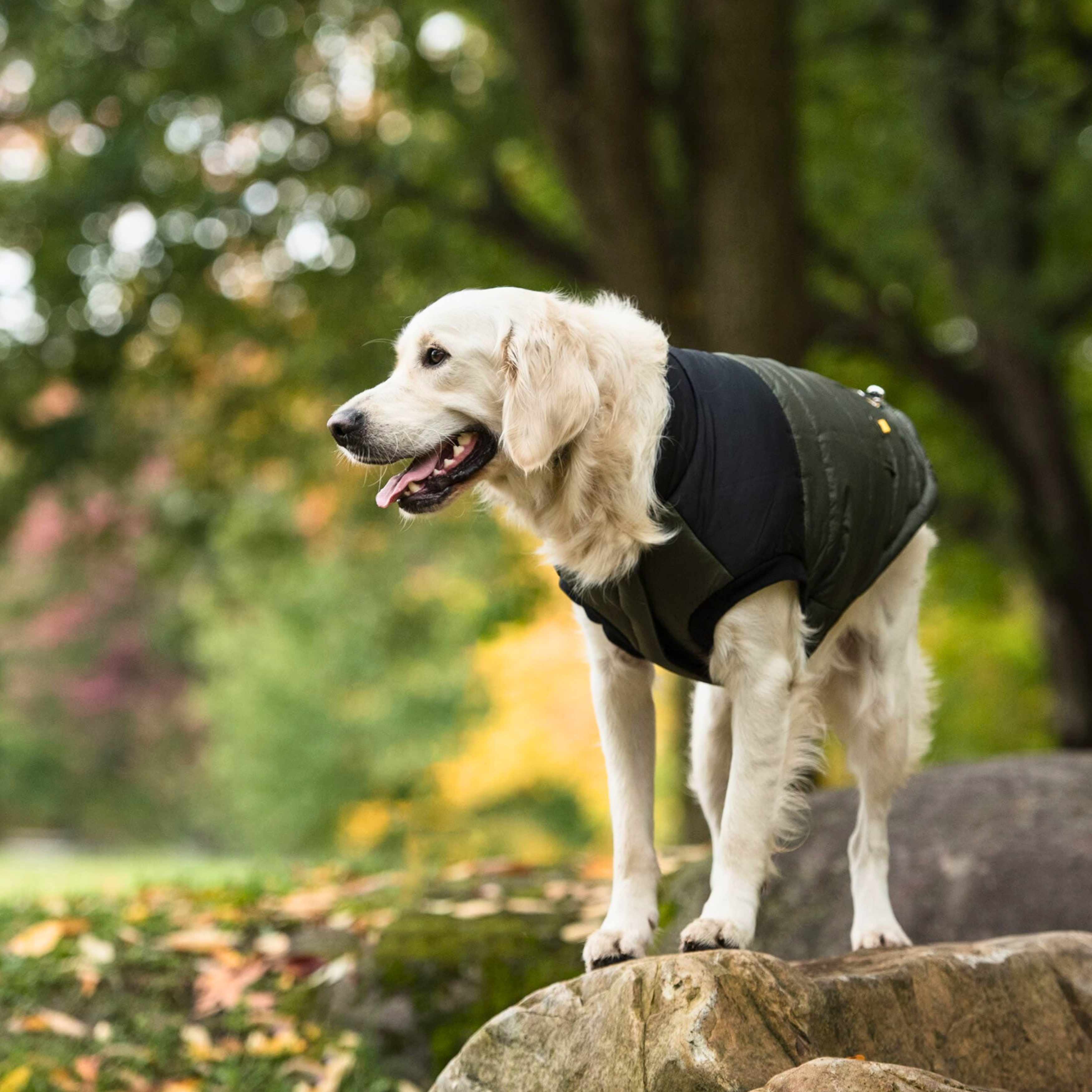 US Army Dog Jacket - Dark Camo